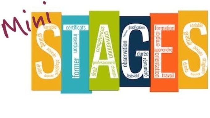 ministages-lycee-beau-derochas.jpg