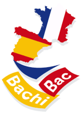 bachi.png